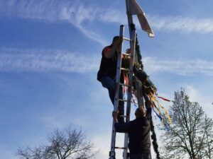 Zwei Männer stellen einen Maibaum auf. Der eine Mann steht auf der Leiter, während der andere von unten hilft.