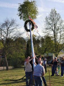 Zwei Männer stellen einen Maibaum auf. Der Maibaum ist mit einem Kranz und Bändern geschmückt.